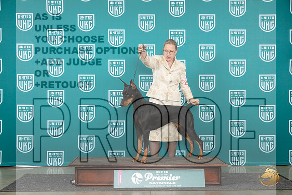 Doberman Pinscher #895 Fri RCH Judge Deb Allen__JP_2127_Premier_2024_HR3