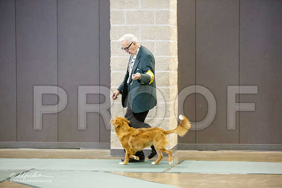 _LH_3087-BeltonJan2015-HR3