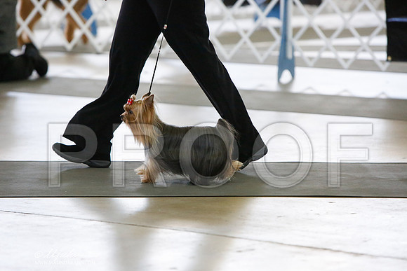 _JJ_0006-DallasJul2014-HR3