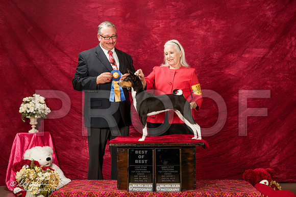 _ST_2184-BeltonJan2015-HR3
