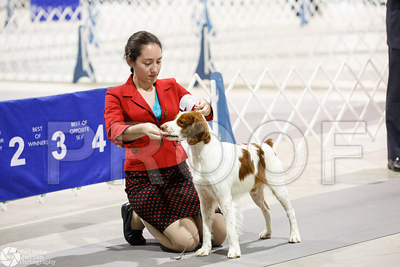 _CL_9647-SanAntonioJul2014-HR