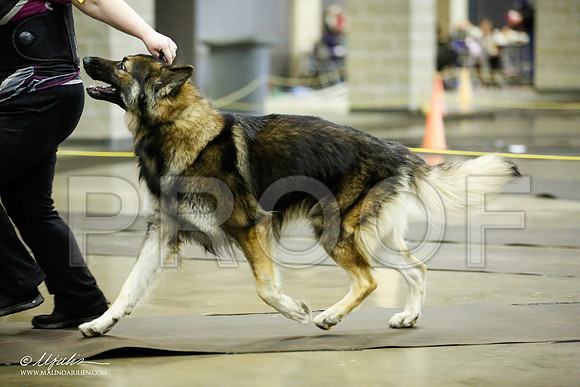 _JJ_6610-BeltonJan2015IABCA-HR3