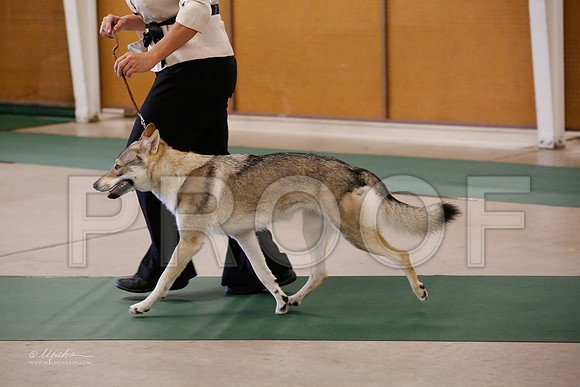 ChWd-9528-NormNov13-HR