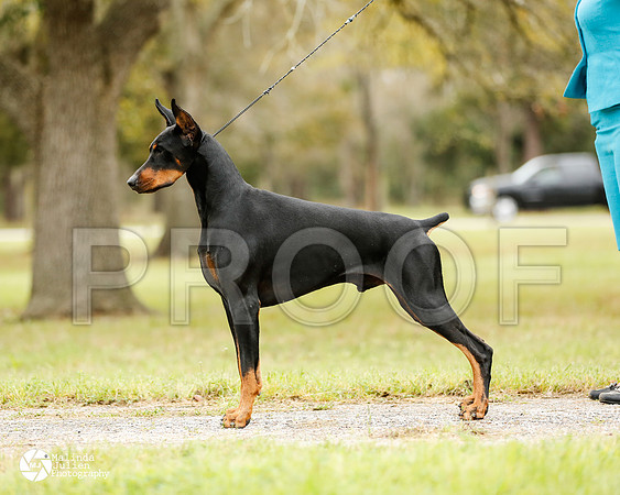 dobe-4656-HstnMar14-HR3