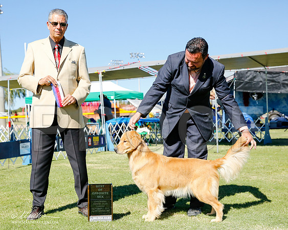 _CL_0375-2-AlamogordoOct2014-HR3