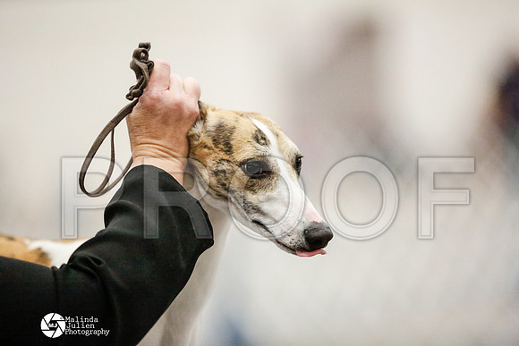 _RH_1859-AblnMay2014-web