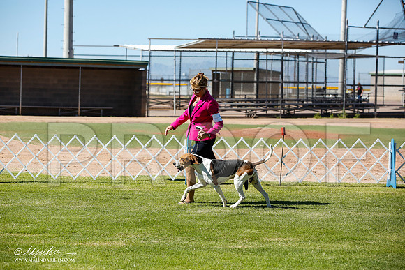 _JN_5943-AlamogordoOct2014-HR3