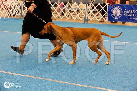 RHOD-0459-FWMar14-HR