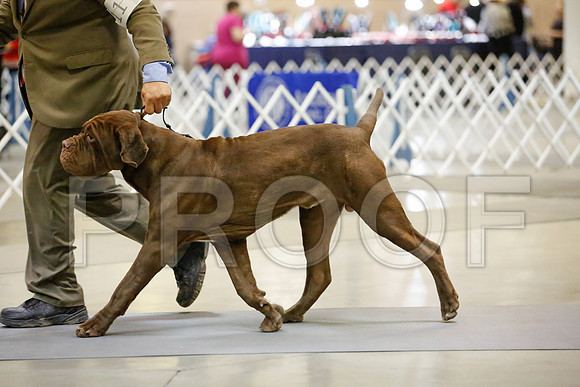 _JJ_6817-AmarilloSept2014-HR3