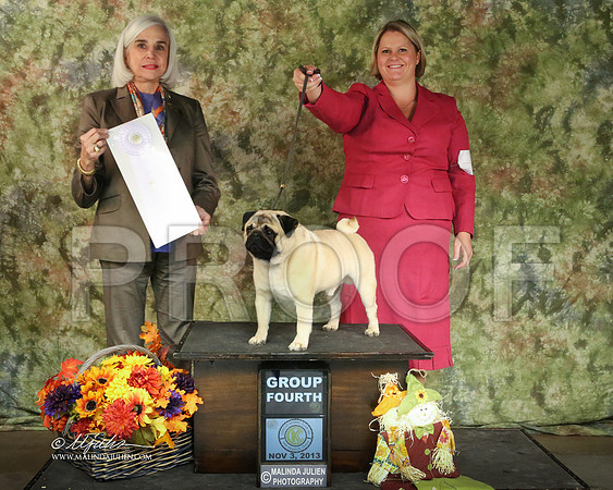 pug-7532-SANov13-HR