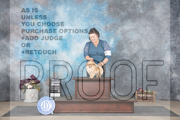 Pomeraian #8 Sun BOB G4 Judge Joan Liebes__JP_8057_Belton_2024_HR3