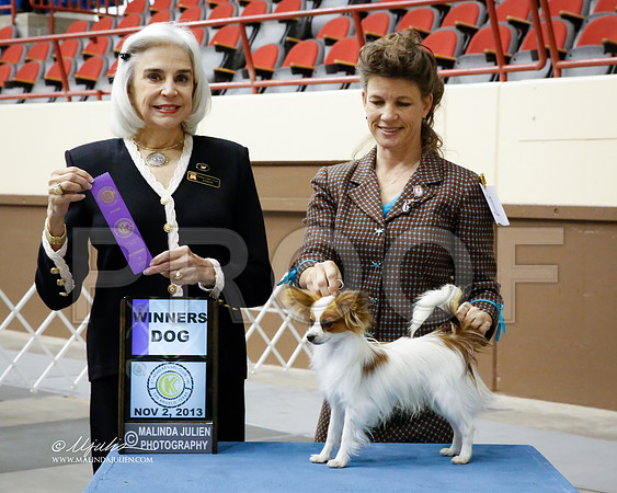 Pap-1217-SANov13-HR