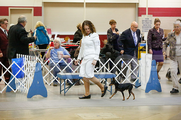 _JJ_4371-AmarilloSept2014-HR3