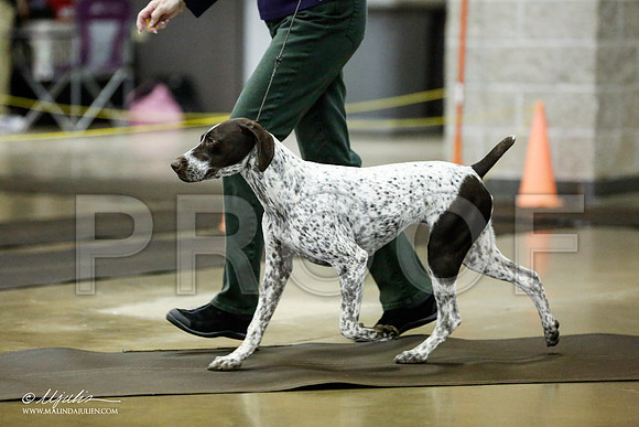 _RH_0943-BeltonJan2015IABCA-HR3