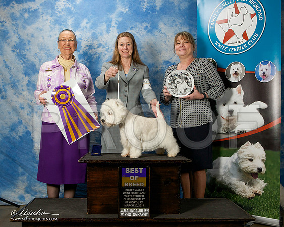 _ST_5554-FWMar2015-HR3