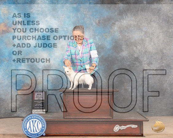 Chihuahua Long Coat #14 Sat WBBOS Judge Peggy McIlwaine-MMJ_4004-Abilene2022-HR3