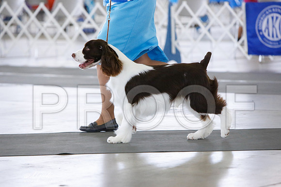 _JN_0313-DallasJul2014-HR3