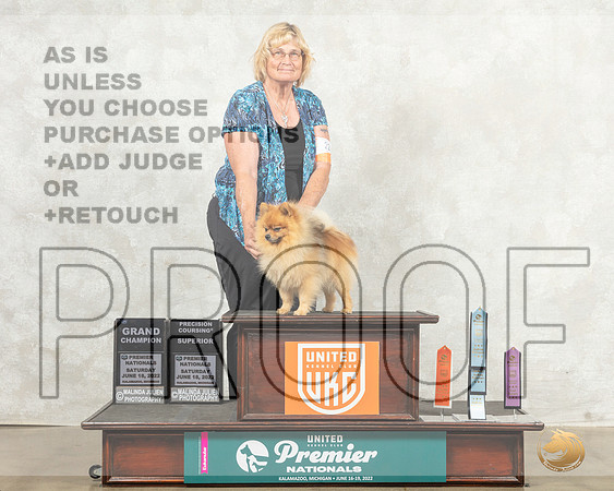Pomeranian #224 Sat TCGCh__MJ_8458_Premier_2022_HR3