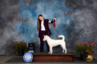Kishu Ken #6 G#3 Judge Elizabeth ‘Beth’ Sweigart