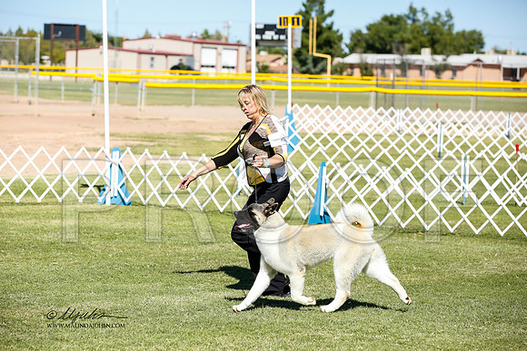_JN_0647-AlamogordoOct2014-HR3