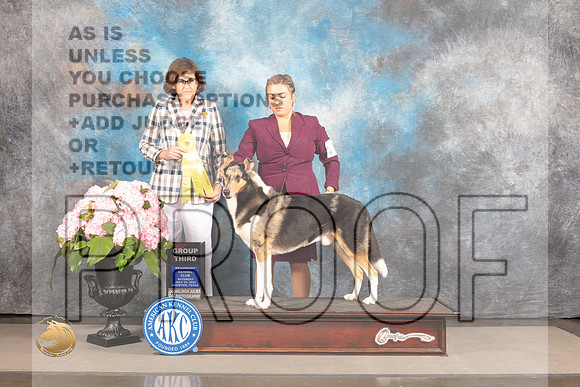 Collie Smooth #5 Sat G3 Judge Carrie Chase_MJ_7063_Houston_2022_HR3