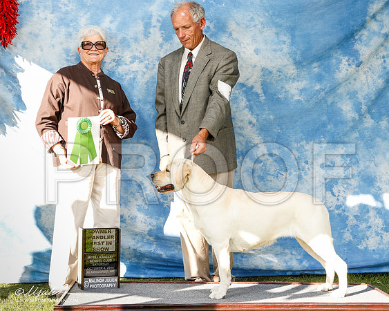 _ST_3116-2-AlamogordoOct2014-HR3