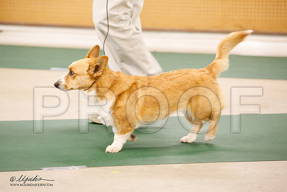 _JN_9837-NrmnNov2014-HR3