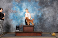 Poodle Miniature MC #389 BF Judge Matthew Proctor