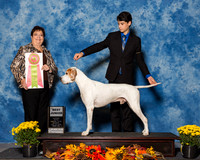 Pointers #J602 Sun BJ Devries Patricia Rachel Vandeberg Judge Mrs Pamela B Peat