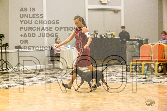 Manchester Terrier MTOY Candids-JJL_2158-Hstn2022_HR3