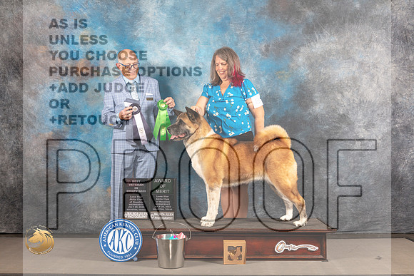 Akita #8 WED BV AOM Judge Donald Plummer_MJ_2277_Houston_2022_HR3