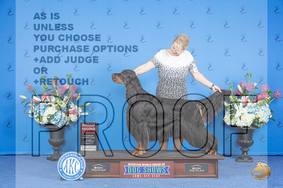 Gordon Setter #5 SUN G2 Judge Jamie Hubbard__JP_0841_Houston_2024_HR3