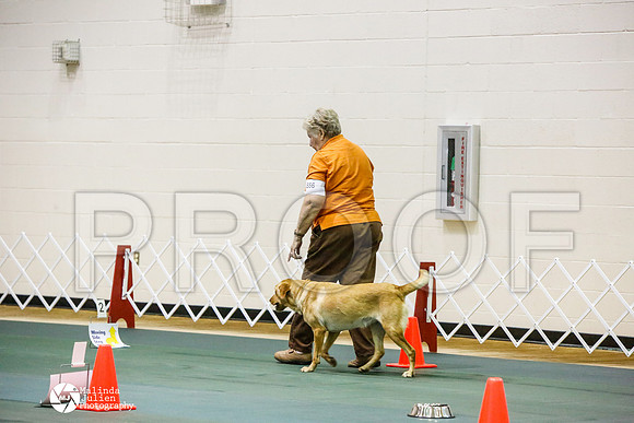 _JJ_2684-BsrCtyJun2014-HR3