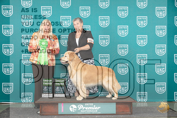 Golden Retriever #466 Sat G3 Stan Sun G3 Kathie Short__JP_3428_Premier_2024_HR3