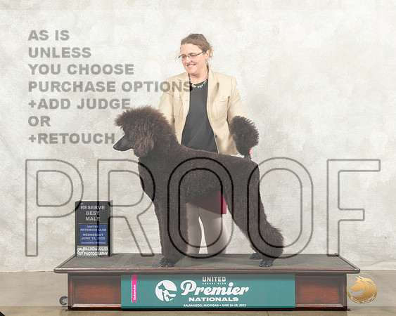 Poodle St #434 Wed RBM Judge Sharon Griffin_MMJ_6964_Premier_2022_HR3