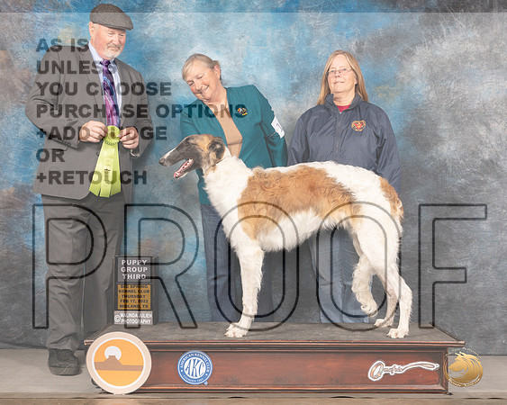 Borzoi #16 Thur PG3 Judge Michael BrantleyMMJ_2441_Mdlnd2022_HR3
