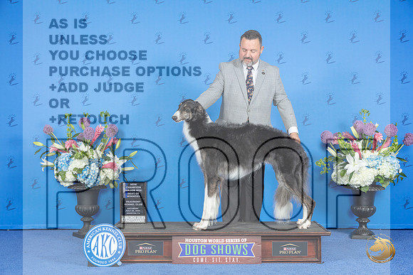 Borzoi #32 SAT WB BW NC M Judge Rick Martin__JP_9701_Houston_2024_HR3