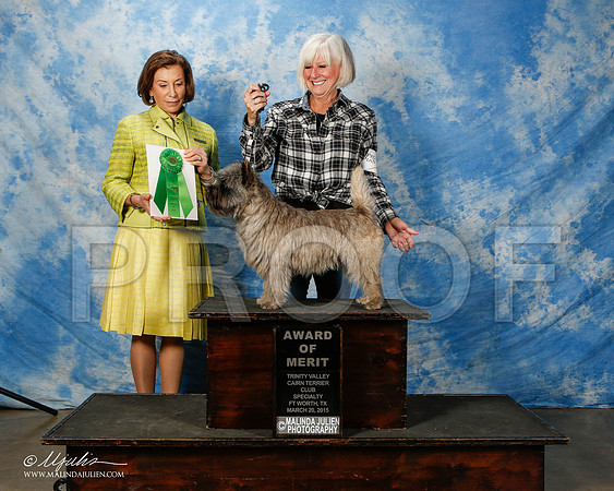 _ST_5485-2-FWMar2015-HR3