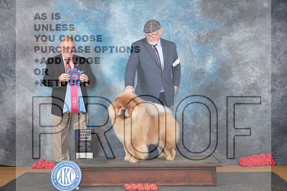 Chow #5 Sat RBIS Judge Sidney Marx__JP_0325_Sulphur Springs_2024_HR3