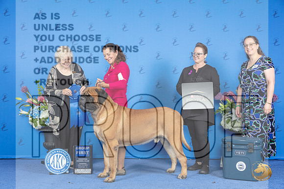 Boerboel #7 THUR G1 Judge Nancy Liebes__JP_8474_Houston_2024_HR3
