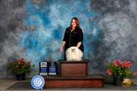 Pekingese #? Fri WDNOWMCH Wendy Willhauck