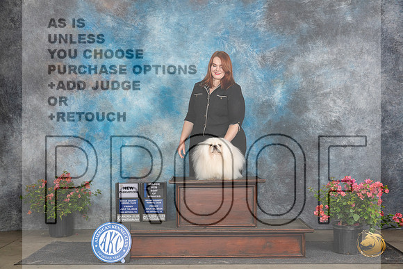 Pekingese # Fri WDNOWMCH Wendy Willhauck__JP_4442_San Antonio_2024_HR3