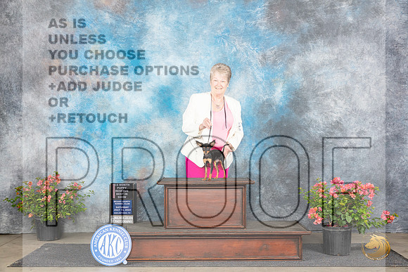 Russian Toy #8 Sat PG1 PRBIS Judge Wendy G Willhauck__JP_4793_San Antonio_2024_HR3