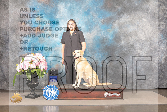 Labrador Retriever #122 SUN Rally Judge?_MJ_7943_Houston_2022_HR3