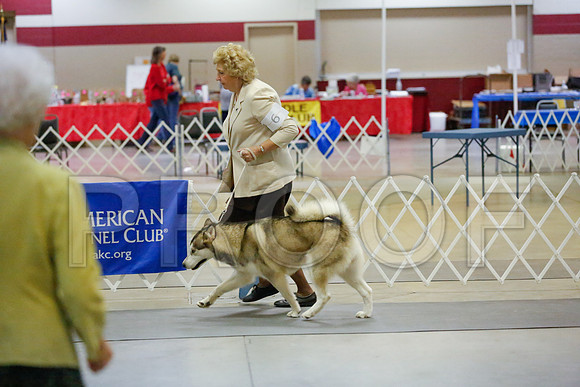 _JJ_7464-AmarilloSept2014-HR3