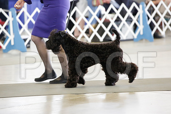 _JN_4976-DallasJul2014-HR3