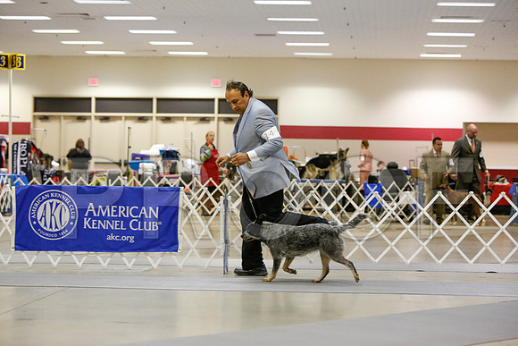_JN_3234-AmarilloSept2014-HR3
