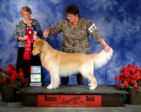 #525 Fri 2nd Amateur Owner Handler Dog Docmar's Ewe Da Man Kirsten Grande & Jane Docter Judge Michele Stansbury Gawenka