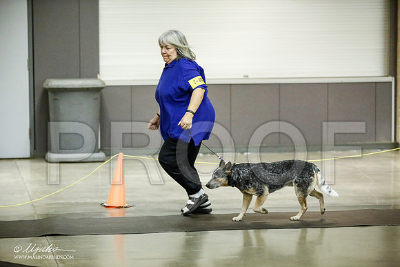 _JJ_7026-BeltonJan2015IABCA-HR3