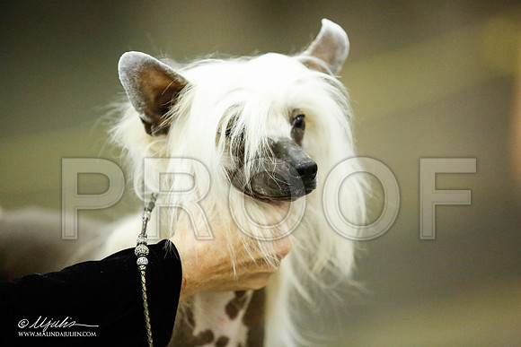 _JJ_5338-BeltonJan2015IABCA-HR3